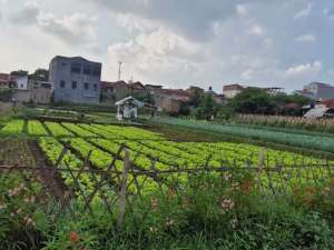 Dijual Tanah di Permana Cimahi, Sangat Bagus Lokasi Strategis lokasi di Cimahi Utara, tersedia melalui melalui situs Olx