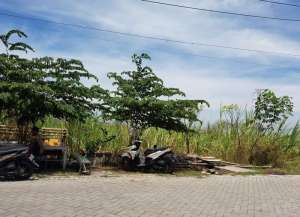 Dijual Tanah Driyorejo harga terjangkau lokasi di ",
          price: `6650000000`,
          currency: `IDR`
    };


    let pageData = {
        viewPhoneModalField: , tersedia melalui melalui situs Lamudi