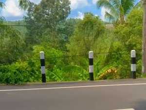 Dijual Tanah Kebun akses jalan utama luas 20 are di Munduk Buleleng BaliLegalitas Aman lokasi di Banjar, tersedia melalui melalui situs Olx