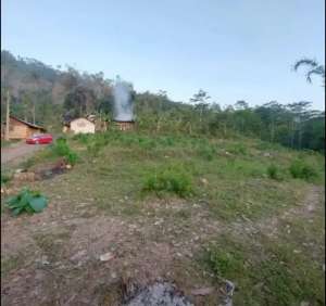 Dijual tanah kebun datar pinggir jalan desa Mukapayung Cililin lokasi di Cililin, tersedia melalui melalui situs Olx