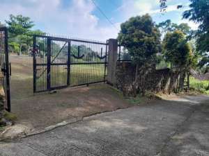 Dijual Tanah Strategis 2000m di Cijeruk, BogorHarga Nego lokasi di ",
          price: `1200000000`,
          currency: `IDR`
    };


    let pageData = {
        viewPhoneModalField: , tersedia melalui melalui situs Lamudi