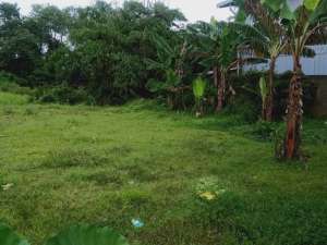 DIJUAL TANAH TANGERANG LOKASI STRATEGIS DEKAT STASIUN DARU lokasi di jambe, tersedia melalui melalui situs Lamudi