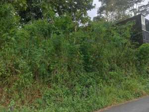 Jual Cepat Tanah Murah di Argomulyo Salatiga dkt jl Lingkar, RS Puri lokasi di argomulyo, tersedia melalui melalui situs Lamudi