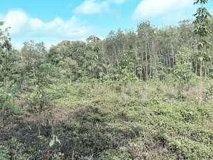 Jual Tanah di Ciamis, SHM 36 rb permeter , Akses Jalan lokasi di Cimaragas, tersedia melalui melalui situs Olx