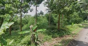 Jual tanah kebun nempel jalan Aspal di cisaga ciamis lokasi di Banjar, tersedia melalui melalui situs Olx