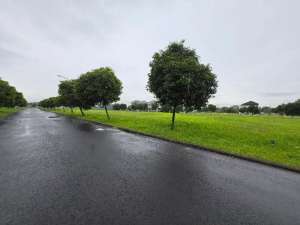 Kavling murah di suvarna sutera cluster alam cikupa tangerang lokasi di Kelapa Dua, tersedia melalui melalui situs Olx