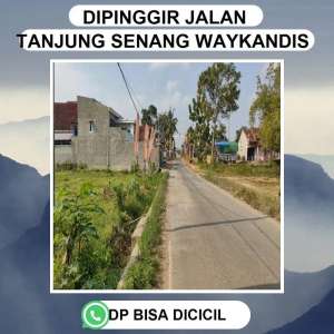 KAVLING TANJUNG SENANG DEKAT RS AIRAN DAN PASAR WAY KANDIS lokasi di Tanjung Senang, tersedia melalui melalui situs Olx