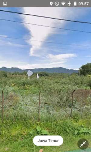 Kebun durian siap panen luas 8515 m2 harga 3 Milyar di Tutur, Pasuruan lokasi di Tutur, tersedia melalui melalui situs Olx