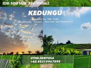 KEDUNGU dekat CANGGU PERERENAN lokasi di canggu-1, tersedia melalui melalui situs Lamudi