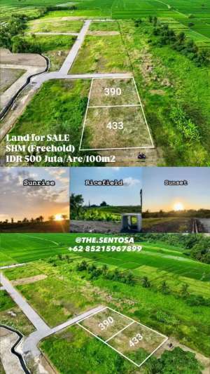 KEDUNGU dekat NUANU LUNA BEACH CLUB lokasi di Pererenan, tersedia melalui melalui situs Olx