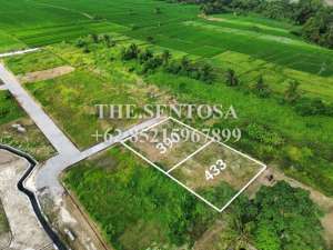 KEDUNGU dekat NUANU LUNA BEACH CLUB lokasi di cemagi, tersedia melalui melalui situs Lamudi