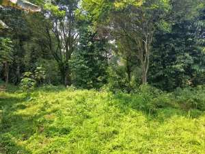 Lahan murah Megamendung 7 menit dari jalan raya Puncak Bogor lokasi di Megamendung, tersedia melalui melalui situs Olx