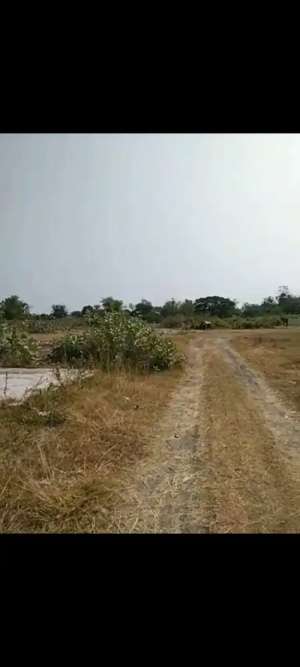 Lahan urugan 1,8 HA harga 2,5 juta permeter di Sukomoro, Nganjuk lokasi di Sukomoro, tersedia melalui melalui situs Olx