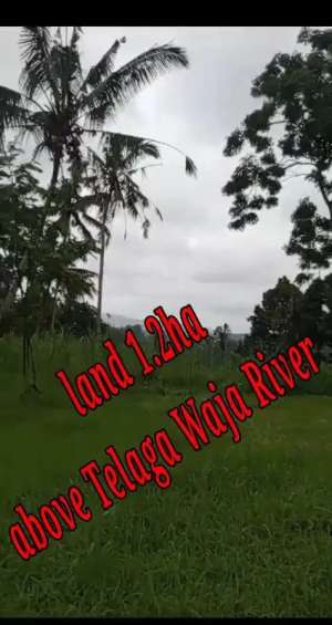 Land 1,2ha for Sale above Telaga Waja River Karangasem Bali lokasi di Tembuku, tersedia melalui melalui situs Olx