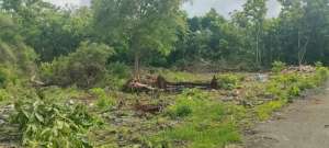 Lokasi dekat kampus unud Jimbaran cocok untuk kos kosan lokasi di Kuta Selatan, tersedia melalui melalui situs Olx