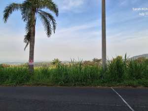 Pasuruan. Prigen. Lahan untuk vila atau cafe lokasi di prigen, tersedia melalui melalui situs Lamudi