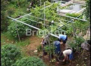 RUMAH 2 LTINDUSTRIAL STYLE DENGAN KEBUN BUAH SIAP PANEN DI RANCA BUNGUR BOGOR. lokasi di ranca-bungur, tersedia melalui melalui situs Lamudi