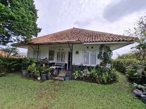 Rumah Clasic Di Lembang Tanah Luas Cocok Untuk di sewakan Atau Tinggal lokasi di Sukajadi, tersedia melalui melalui situs Olx