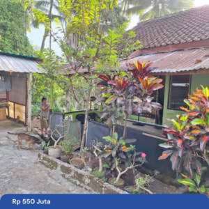 Rumah Dan Tanah Murah Di Kerambitan Tabanan Bali , tersedia melalui melalui situs Rumah123