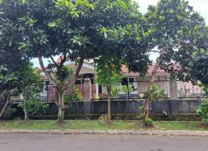 Rumah LT 450 SHM Siap KPR 8 Mnt ke Gerbang Tol Ciawi 2 J-28459 lokasi di ",
          price: `7740000000`,
          currency: `IDR`
    };


    let pageData = {
        viewPhoneModalField: , tersedia melalui melalui situs Lamudi