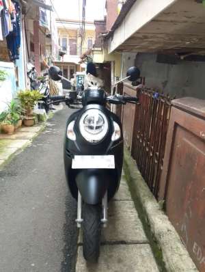 Jual bekas Scoopy Prestige Black Mate Keyless Th. 2024,lokasi di Pasar Minggu