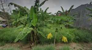 Tanah 2300 meter di jalan amd tanjung senang lokasi di Tanjung Senang, tersedia melalui melalui situs Olx