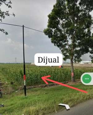 Tanah di Brebes cocok untuk gudang lokasi di Kersana, tersedia melalui melalui situs Olx