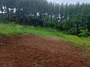 Tanah Kavling Siap bangun sudah split SHM di bandung sejuk cocok buat rumah damai lokasi di Panyileukan, tersedia melalui melalui situs Olx