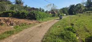 Tanah kavling villa murah tabanan bali lokasi di Salemadeg Timur, tersedia melalui melalui situs Olx