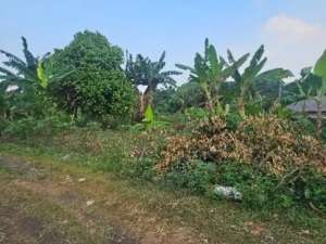 TANAH LAPANG DI LOKASI STRATEGIS BOGOR lokasi di Cileungsi, tersedia melalui melalui situs Olx