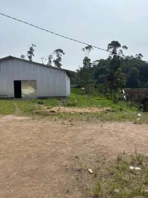 tanah murah bonus rumah dan gudang Ciwidey 15 menit dari tol seroja lokasi di Pasirjambu, tersedia melalui melalui situs Olx