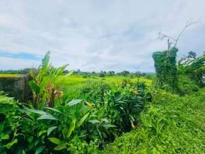 Tanah Pantai Kedungu Kediri Tabanan lokasi di Kediri, tersedia melalui melalui situs Olx