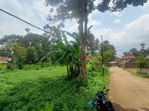 Tanah sisi Jalan di Sagaracipta Ciparay lokasi di Gununghalu, tersedia melalui melalui situs Olx