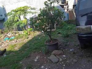 Tanah Strategis siap Bangun dekat kelurahan Pondok Ranggon Jakarta Timur lokasi di Jati Sampurna, tersedia melalui melalui situs Olx