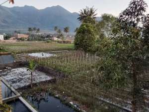 Tanah Strategis View Cantik di Langensari Tarogong Kaler Kota Garut lokasi di Tarogong Kaler, tersedia melalui melalui situs Olx