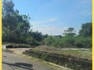 Tanah Yogyakarta Cocok Hunian 300 jutaan Tajem Maguwoharjo lokasi di Depok, tersedia melalui melalui situs Olx