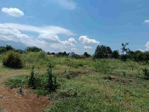 Tanah Zona Industri Poros Pasuruan Purwosari Jalan Surabaya - Malang lokasi di purwosari-4, tersedia melalui melalui situs Lamudi