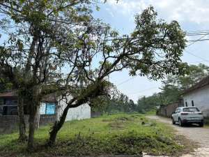 Tempel Titik Temu Jogja, Borobudur dan NYIA Siap AJB lokasi di Seyegan, tersedia melalui melalui situs Olx