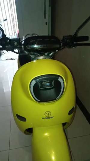 Jual bekas Uwinfly golden turtle,lokasi di Cilincing
