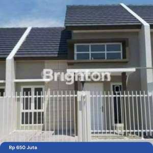 Alana cemandi , tersedia melalui melalui situs Rumah123