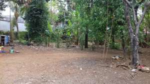 Banting Harga, Jual Tanah di Jln Raya Tengah Condet lokasi di Kramat Jati, tersedia melalui melalui situs Olx