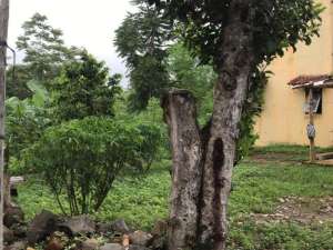 Cash Tempo Tanah SHM MURAHdi Sidorejo Salatiga dkt Exit Tol lokasi di ",
          price: `4500000000`,
          currency: `IDR`
    };


    let pageData = {
        viewPhoneModalField: , tersedia melalui melalui situs Lamudi