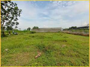 Dekat Jl.Gito Gati, Tanah Murah Sleman3 Jutaan di Palagan lokasi di Mergangsan, tersedia melalui melalui situs Olx