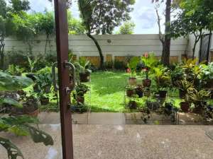 Di Jual Rumah Mewah 2 Lantai lokasi di Cilandak, tersedia melalui melalui situs Olx