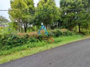 Di jual tanah kebun cengkeh dengan view laut Buleleng bali lokasi di Buleleng, tersedia melalui melalui situs Olx