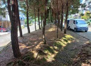 Dijual Cepat Rumah 2 Pantai, Siap Huni, Depan Taman, Dkt Toll Bogor lokasi di ",
          price: `1600000000`,
          currency: `IDR`
    };


    let pageData = {
        viewPhoneModalField: , tersedia melalui melalui situs Lamudi