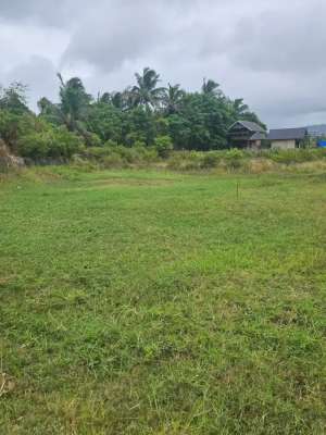 Dijual Nego Tanah seluas 1.575 m lokasi di Darussalam, tersedia melalui melalui situs Olx