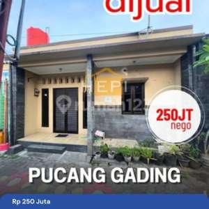 Dijual Rumah Di Pucang Gading Semarang Timur , tersedia melalui melalui situs Rumah123