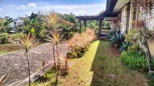 DIJUAL RUMAH di rumah tapak mewah Setiabudi Regency BANDUNG lokasi di Sukasari, tersedia melalui melalui situs Olx