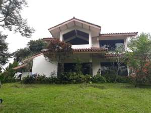 Dijual Rumah Kebun Hijau Kolam Ikan lokasi di Kemang, tersedia melalui melalui situs Olx